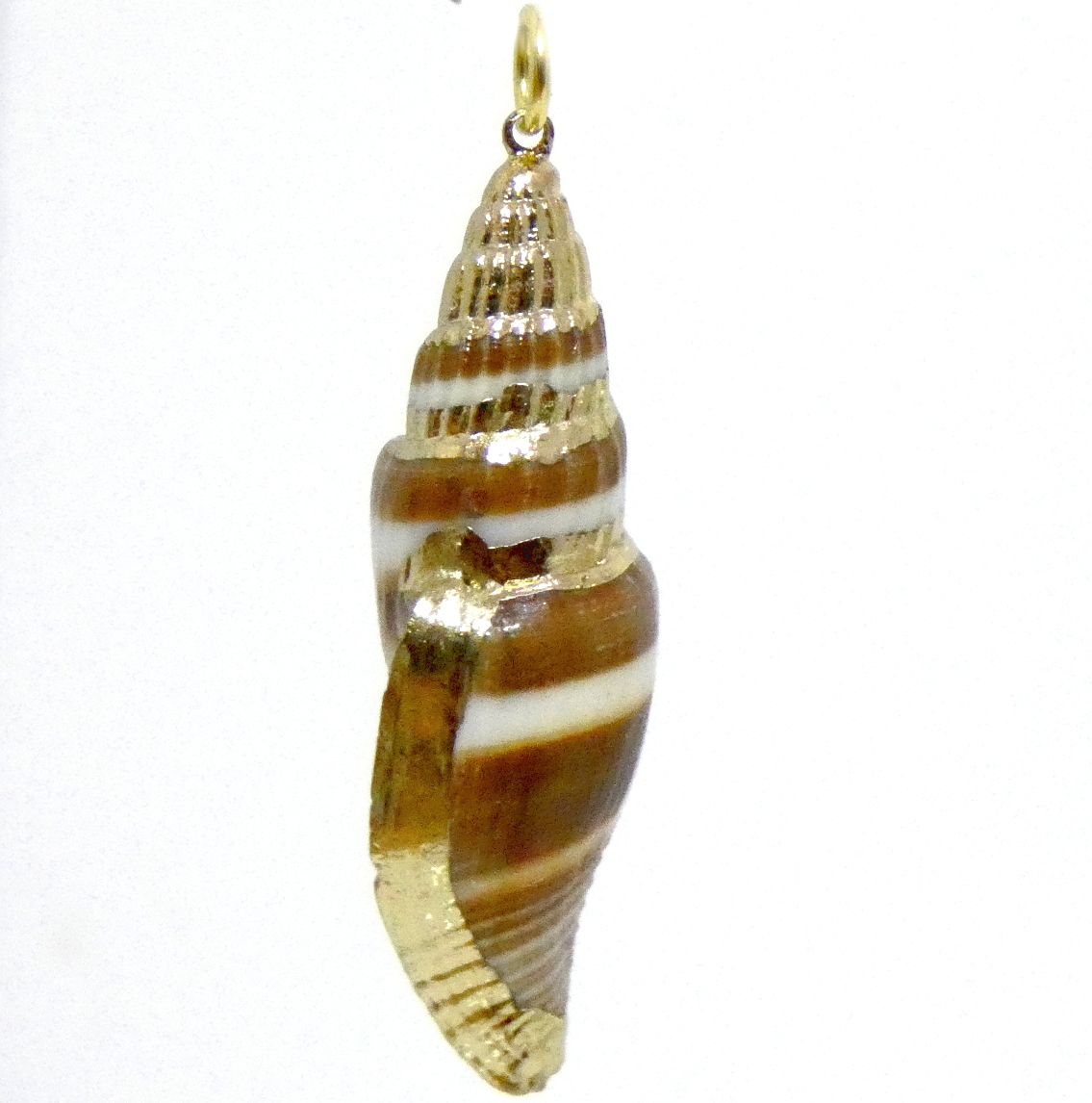 Brown and White Spiral Shell with Gold